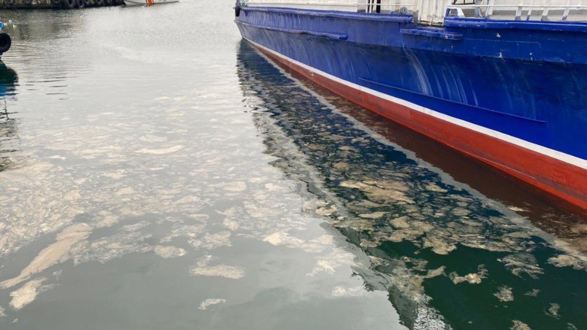 İstanbul’da müsilaj tehdidi: Kadıköy’de de görüldü