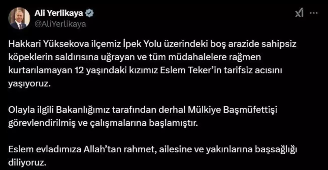 Sokak Köpekleri Saldırısı: 12 Yaşındaki Eslem Teker Hayatını Kaybetti